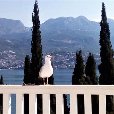 Villa Boka Sunrise Apartments Herceg Novi Exterior photo