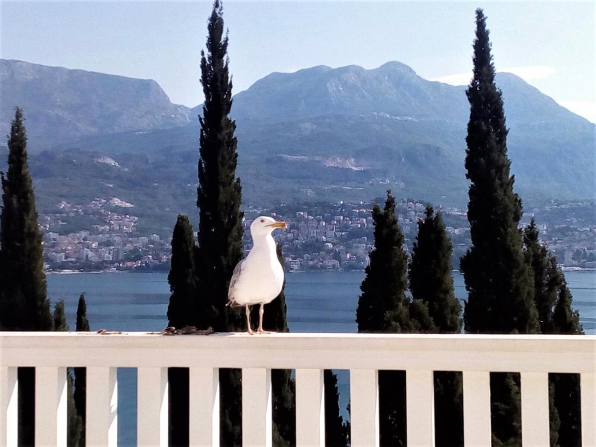 Villa Boka Sunrise Apartments Herceg Novi Exterior photo